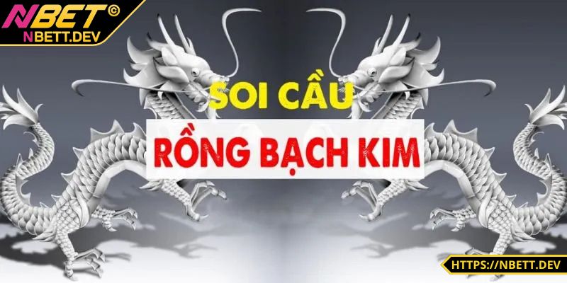 Soi Cầu Rồng Bạch Kim - Mẹo Cá Cược Hay Cho Tân Thủ 1 Soi cầu rồng bạch kim và ý nghĩa chi tiết