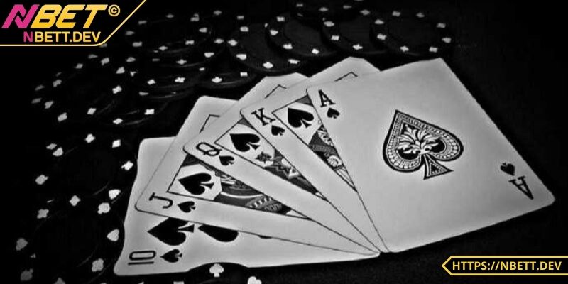 Thùng Phá Sảnh - Cách Nhận Diện, Chiến Thuật Khi Chơi Poker 4 Thông tin về thùng phá sảnh
